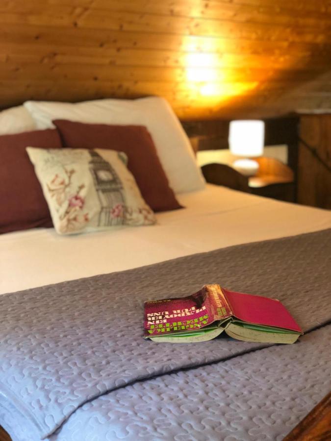 Guesthouse Pod Rastockim Krovom Слуни Екстериор снимка
