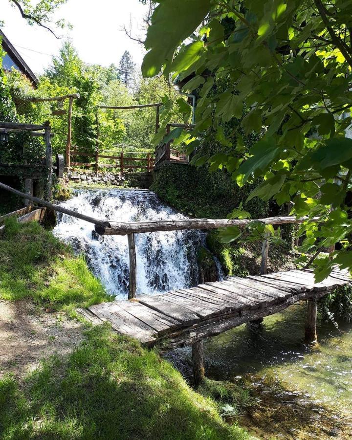 Guesthouse Pod Rastockim Krovom Слуни Екстериор снимка
