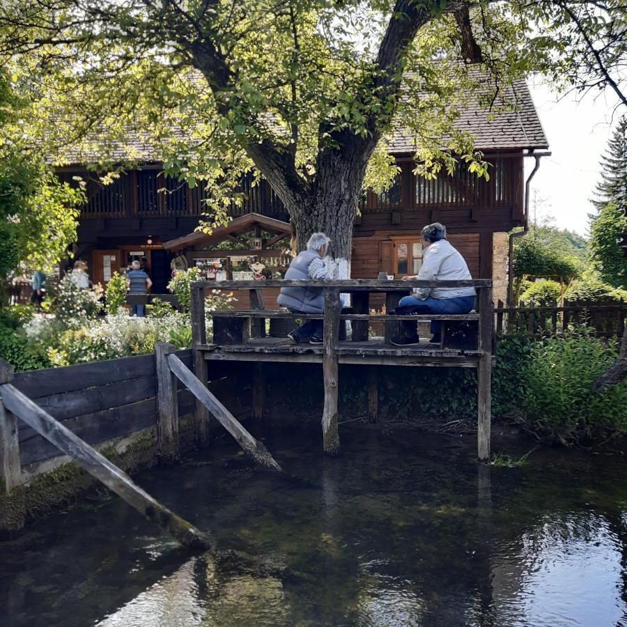 Guesthouse Pod Rastockim Krovom Слуни Екстериор снимка